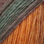 Пряжа Astra Premium (Астра Премиум) Панда Колор / уп.3 мот. по 100 г, 240 м, 06 секционный