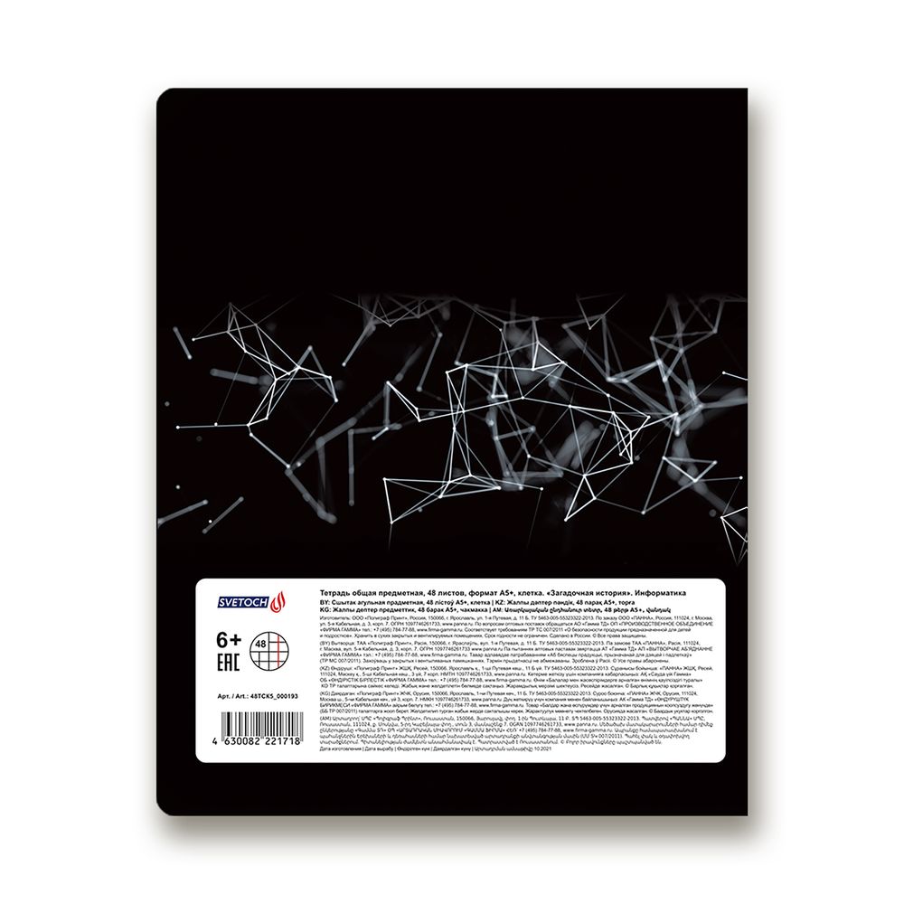 Тетрадь предметная Загадочная история A5+ 48 л. на скобе, белизна 100%, 10 шт, клетка, 48ТСК5/000193 Информатика, Светоч