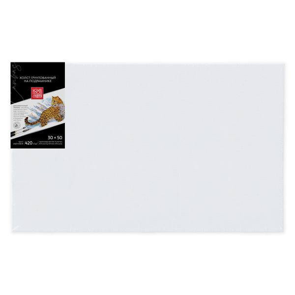 Холст грунтованный на подрамнике 30х50 см, 420 г/м², 2 шт, мелкозернистый, Аква-колор IZO-MCFG-3050