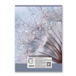 Тетрадь ученическая общая, A4 96 л. на скобе 65 г/м², белизна 100 %, 6 шт, клетка, 01351 Утренняя роса, Светоч Т156