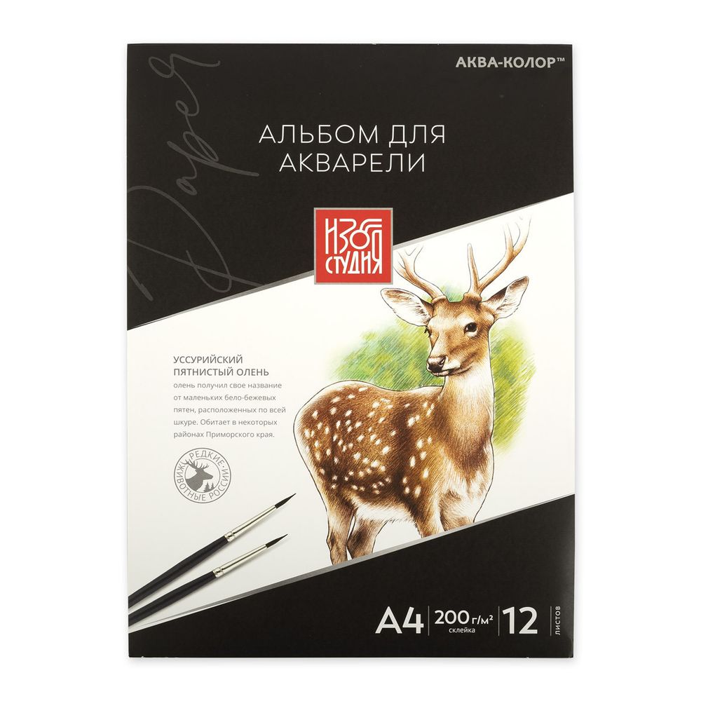 Альбом для акварели 200 г/м², А4 30х21 см, склейка 12 л, гознак, Аква-колор