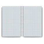 Тетрадь общая с твердой обложкой, матовая ламинация A4 80 л. на гребне 65 г/м², белизна 100% 2 шт клетка, 01569 Карта, Светоч Т217