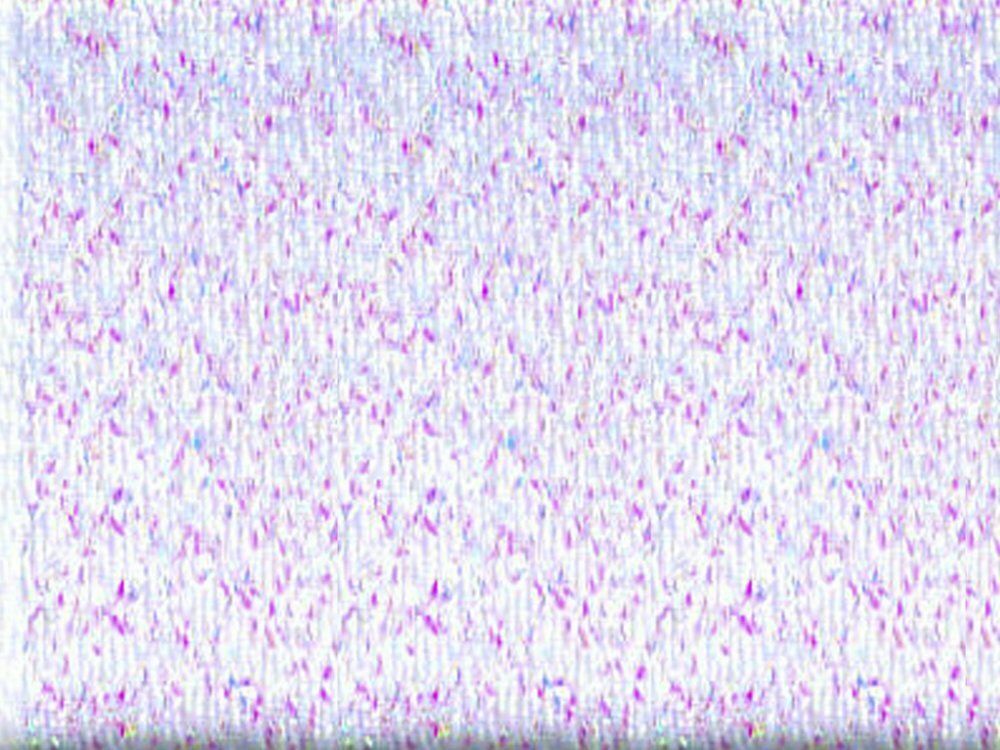 Нитки отделочные металлизированные Madeira Glamour №12, 200 м, цв. 3000, 9806, 5 катушек