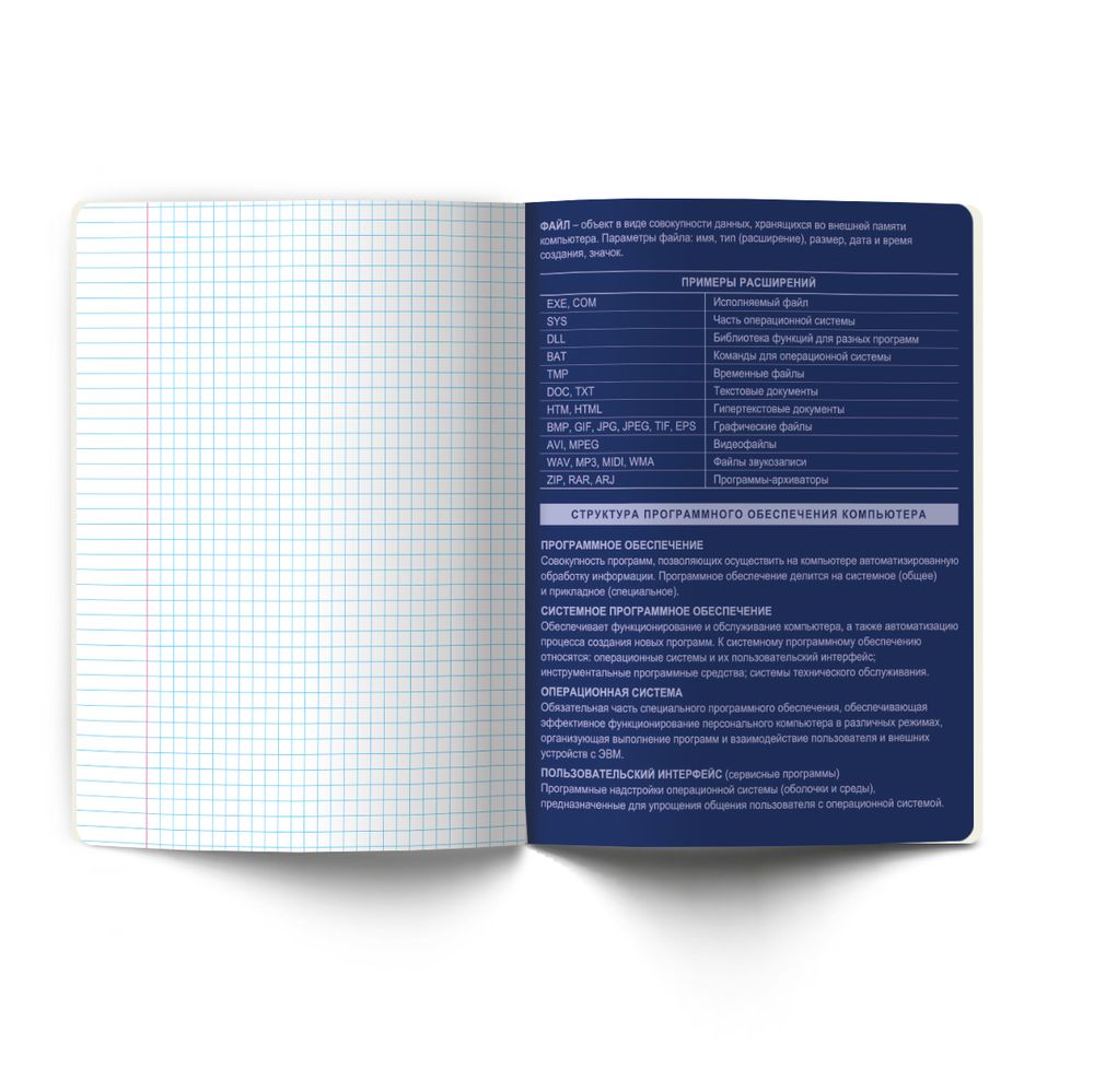 Тетрадь со справочным материалом Золотые главы, тисн.золот.фольгой, A5 48 л. на скобе 65 г/м², белизна 100% 10 шт клетка, 01855 Золотые главы Информатика, Светоч Т286