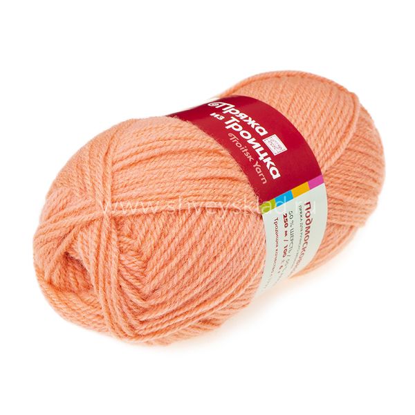 Пряжа Троицкая Подмосковная / уп.10 мот. по 100 г, 250м, 0463 само