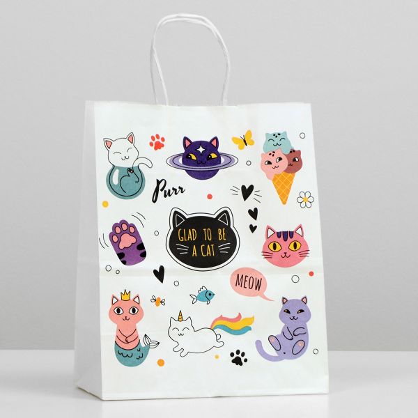 Пакет крафт 