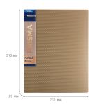 Папка с вкладышами 20 л. A4 600 мкм 20 мм, эффект 3D, 6 шт, золотой new EC211500128, Expert Complete EC211500128