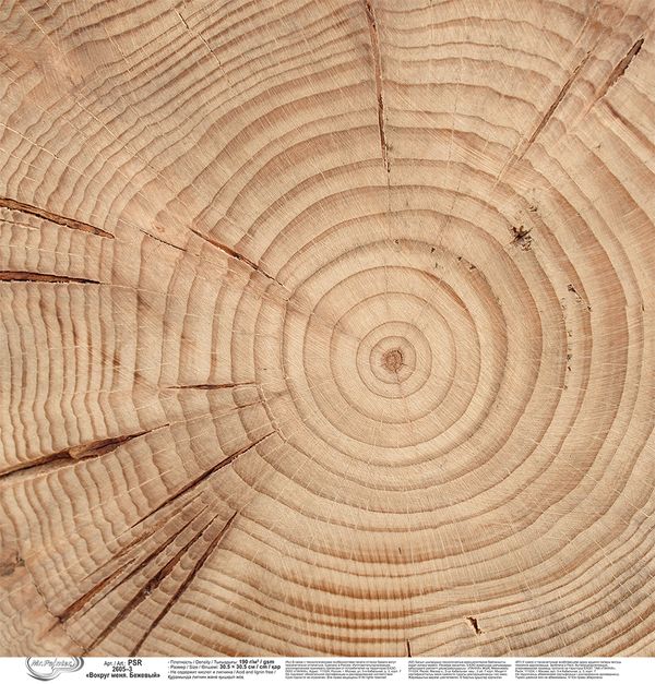 Бумага для скрапбукинга Вокруг меня. Бежевый 190 г/м², 30.5х30.5 см, 10 шт, 3, Mr.Painter PSR 2605