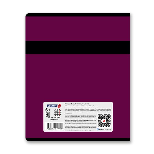 Тетрадь ученическая общая, A5 80 л. на скобе 65 г/м², белизна 100% 5 шт клетка, 01523 Сила цвета, Светоч Т202