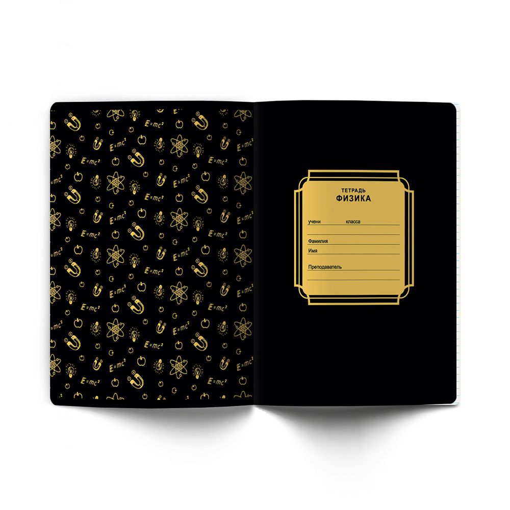 Тетрадь со справочным материалом Золотая коллекция, тиснение золотой фольгой, A5+ 48 л. на скобе 65 г/м², белизна 100 %, 10 шт, клетка, 01330 Золотая коллекция Физика, Светоч Т145