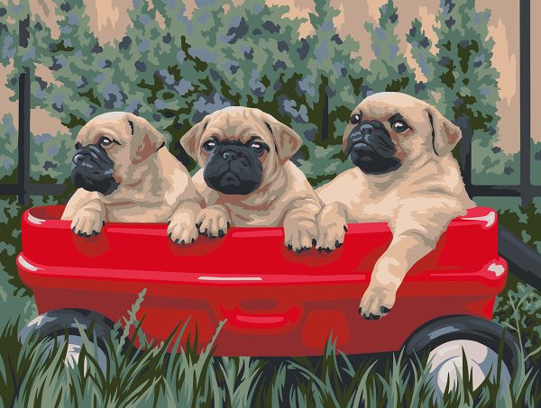 Картина по номерам Фрея, Мопсы, 30х40 см