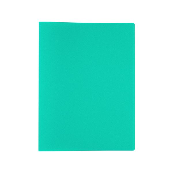 Папка с вкладышами Classic 10 л, А4, 450 мкр, 15 мм, песок, 6 шт, зеленый ЕС2701103, Expert Complete