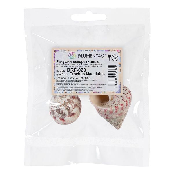 Ракушки декоративные, 3 шт, 6.3 см, Trochus Maculatus, Zlatka DRF-023