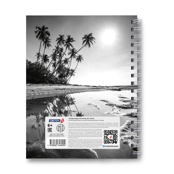 Тетрадь общая с твердой обложкой, матовая ламинация A5 96 л. на гребне 65 г/м², белизна 100% 4 шт клетка, 01558 Сквозь солнечные очки, Светоч Т213