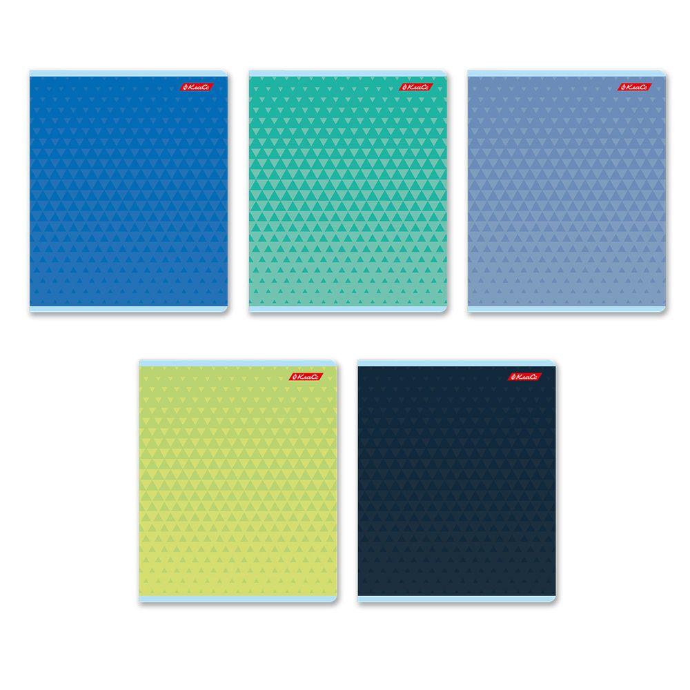 Тетрадь ученическая общая, выборочный лак, A5+ 96 л. на скобе 60 г/м², белизна 100%, 5 шт, клетка в термоусадочной пленке, 000783 В цвете, Светоч 96ТЕТк-003