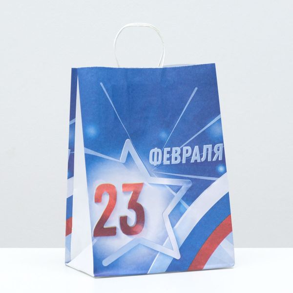 Пакет крафт крученая ручка С 23 февраля, 22х12х29 см, 10 шт, 7650479