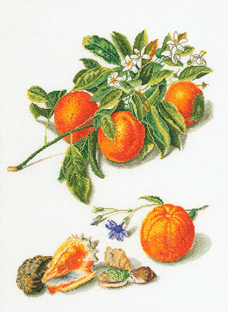 Thea Gouverneur, Апельсины и мандарины, 33х45 см