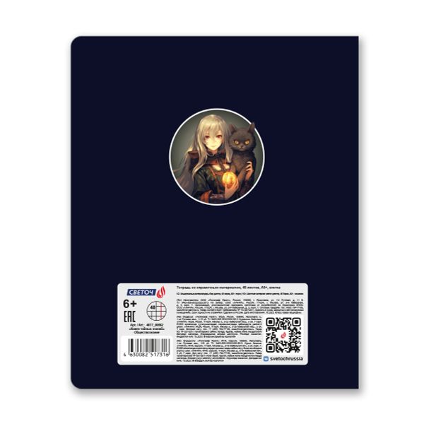 Тетрадь со справочным материалом Ковен тайных знаний, A5+ 48 л. на скобе 65 г/м², белизна 100%, 10 шт, клетка, 00862 Обществознание, Светоч 48Т7