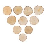 Срез дерева d5-8 см,±0.5, 10 шт, береза, Blumentag СРЕЗ-23