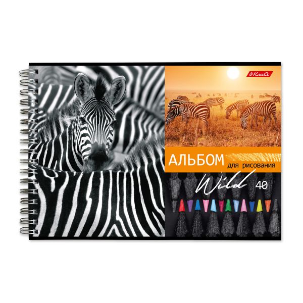 Альбом для рисования, 100 г/м², A4 29х20.5 см, на гребне 40 л., 6 шт, 40АЛГР4_000244 Саванна, Светоч