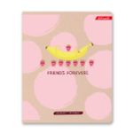 Тетрадь ученическая общая, A5+ 48 л. на скобе, белизна 100%, 10 шт, клетка, 000328 Друзья навсегда, Светоч 48ТСК5_3_1