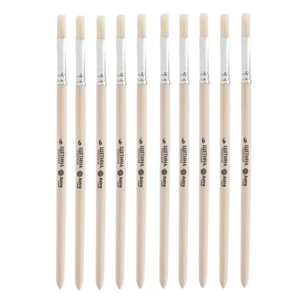 Кисть школьная, щетина, плоская №6, 10 шт, Astra&Craft