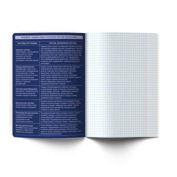 Тетрадь со справочным материалом Золотые главы, тисн.золот.фольгой, A5 48 л. на скобе 65 г/м², белизна 100% 10 шт клетка, 01849 Золотые главы Биология, Светоч Т286