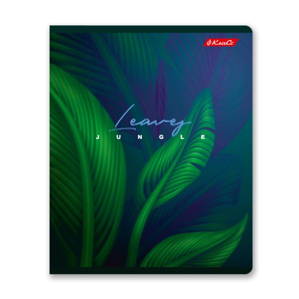 Тетрадь ученическая общая, глянцевая ламинация, A5+ 48 л. на скобе 65 г/м², белизна 100%, 10 шт, линия в термоусадочной пленке, 000763 Энергия цвета, Светоч 48ТЕТл-004