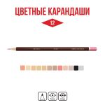 Набор цветных карандашей Скинтонс заточенный 8х12 цв, Vista-Artista Fine VFCPS-12