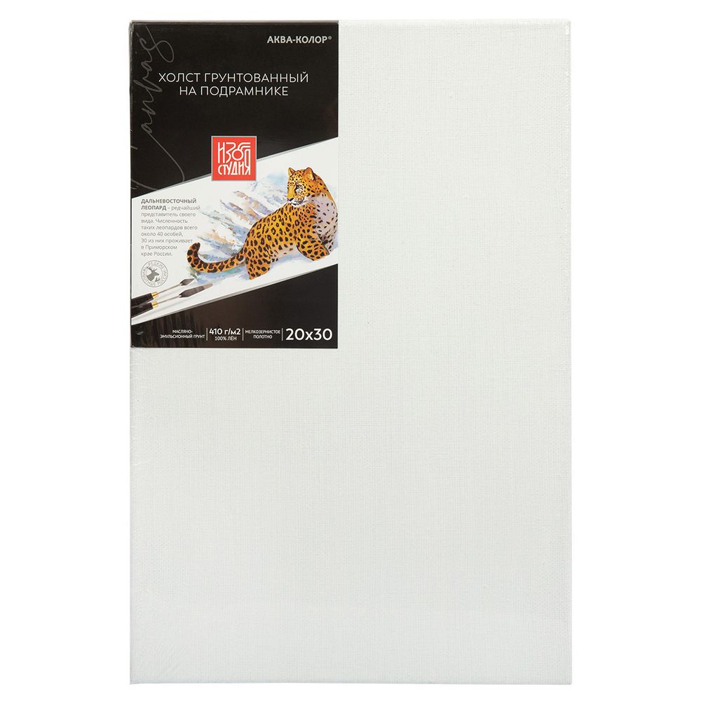 Холст на подрамнике грунтованный 20х30 см, 410 г/м², 2 шт, мелкозернистый, Аква-колор IZO-OLFG-2030