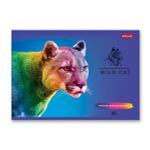 Альбом для рисования 100 г/м², A4 29х20.5 см, 48 л. на скобе, 5 шт, 000268 Большие кошки, Светоч 48АЛСК4_1_3_9