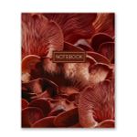 Бизнес-блокнот, матовая ламинация, A5+ 80 л. 18 шт, клетка, Fungi 000439, Светоч 80ББТ5_2_5_1