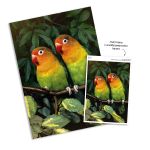 Пазл 500 элементов, Попугаи-неразлучники, PZL-500/39, Фрея
