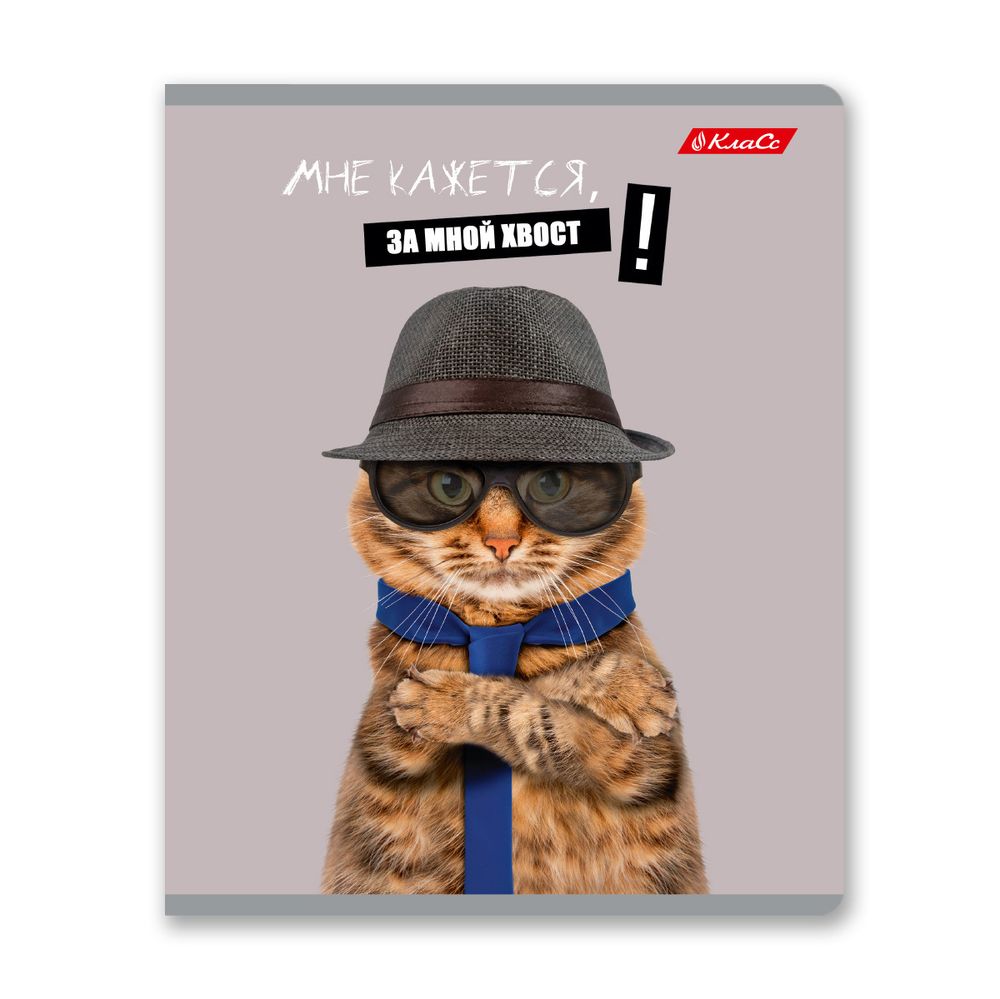 Тетрадь ученическая общая, A5+ 48 л. на скобе 65 г/м², белизна 100%, 10 шт, клетка в термоусадочной пленке, 000752 Смешные и шерстяные, Светоч 48ТЕТк-001