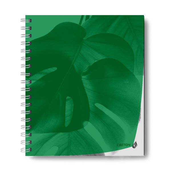 Тетрадь общая с пластик. обложкой, ч/б запечат. титульн.лист, 180 мкм, A5 48 л. на гребне 65 г/м², белизна 100% 4 шт клетка, 01548 Утренний пейзаж, зелёная, Светоч Т208