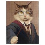 Алмазная (кристальная) мозаика Cristyle, Гарри Коттер, 30х40 см