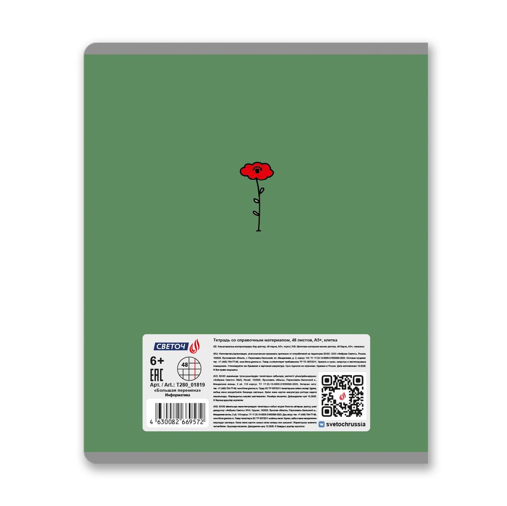 Тетрадь со справочным материалом Большая перемена, выбор.лак, A5 48 л. на скобе 65 г/м², белизна 100% 10 шт клетка, 01819 Большая перемена Информатика, Светоч Т280