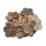 Декоративные элементы из коры дерева "Цветок", 4,5см, 12 шт, нат/дерево