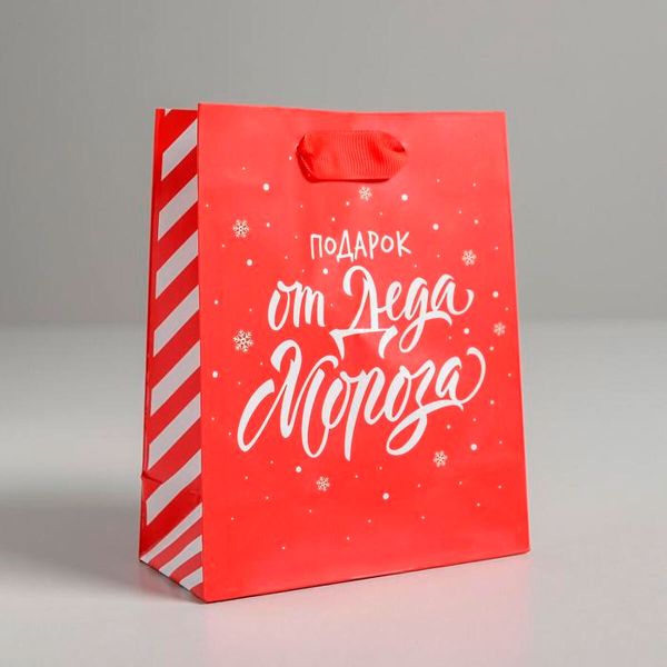 Пакет ламинированный вертикальный 