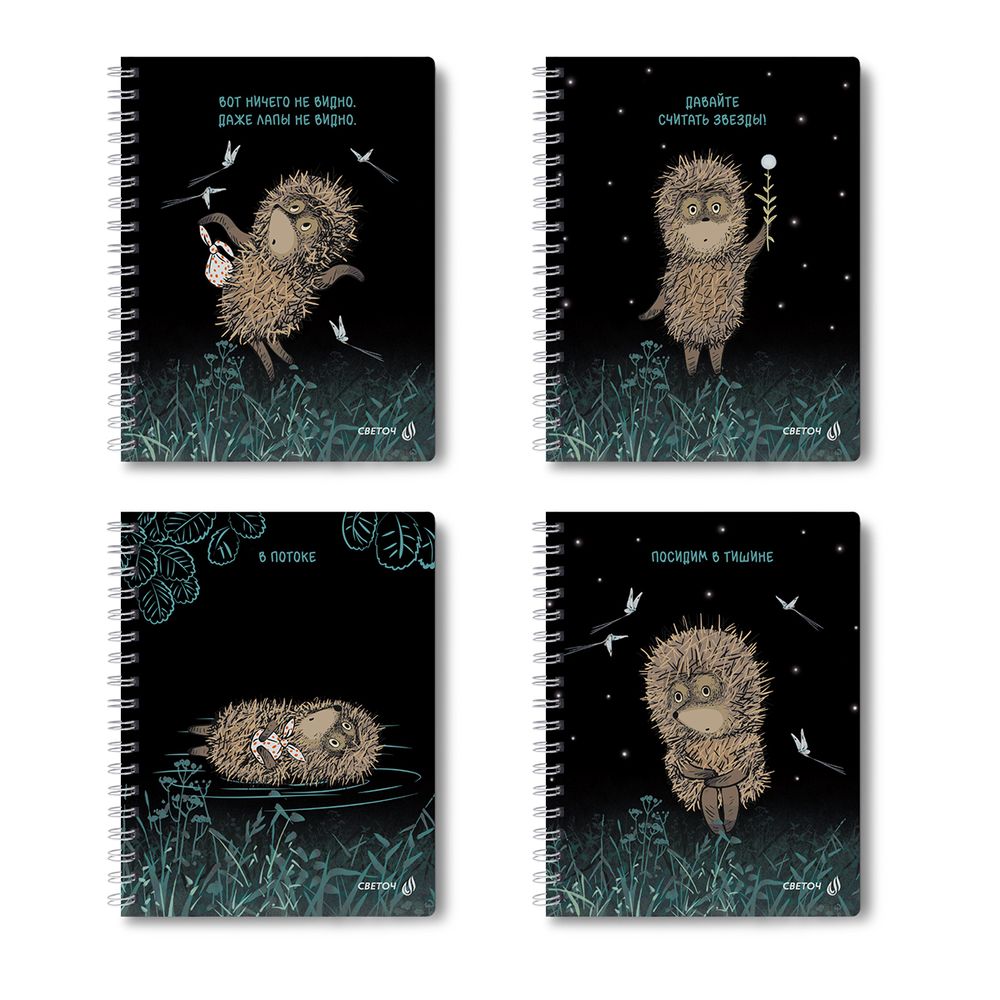 Тетрадь ученическая общая, выборочный УФ лак, (лицензия) A5 48 л. на гребне 65 г/м², белизна 100 %, 8 шт, клетка, 01173 Не такой уж колючий (Ёжик в тумане), Светоч Т105