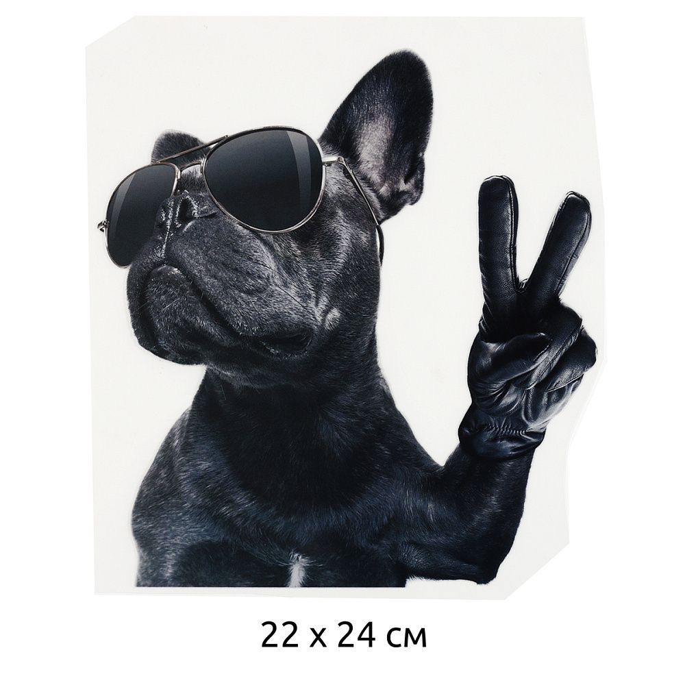 Термотрансфер TY.1304 Мопс в очках 22х24см, уп.10 шт