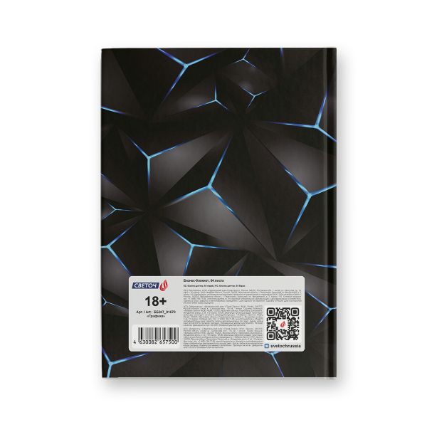 Бизнес-блокнот, глянц. ламинация, блок кремовый, ББ247 евроформат (14.4х20.3х1.6 см) 64 л. 4 шт французская клетка, Графика 01670, Светоч