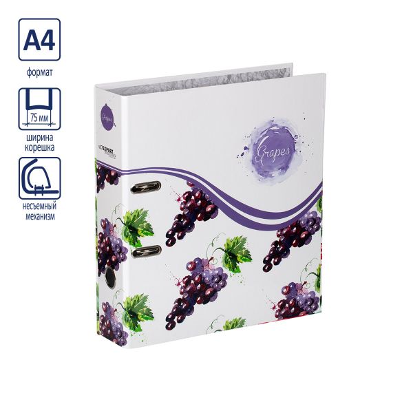 Регистратор ламинированный Фрукты 75 мм, 10 шт, A4 арочный механизм, виноград 254171, Expert Complete