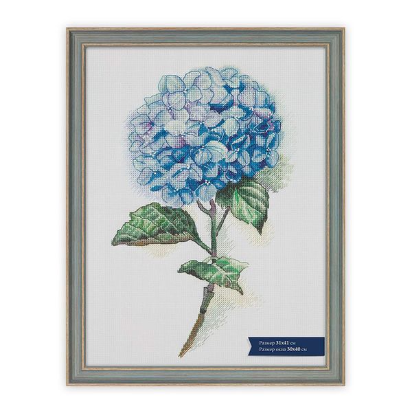 Рамка для картины (фото) пластик с оргстеклом 31х41 см, Tулуса, Gamma БМГ-02/1