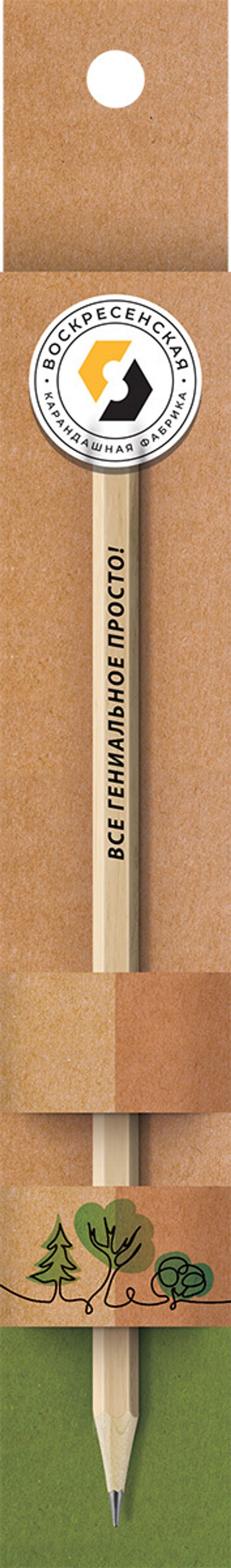 Карандаш чернографитный заточенный ТМ (HB), 4 шт, все гениальное просто!, ВКФ SUV-032