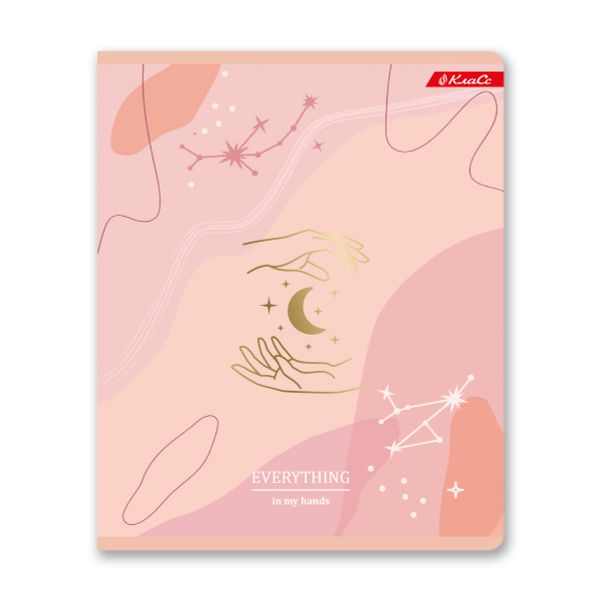 Тетрадь ученическая общая, тиснение фольгой, A5+ 96 л. на скобе, белизна 100%, 5 шт, клетка, 000342 Романтика, Светоч 96ТСК5_6_3_1