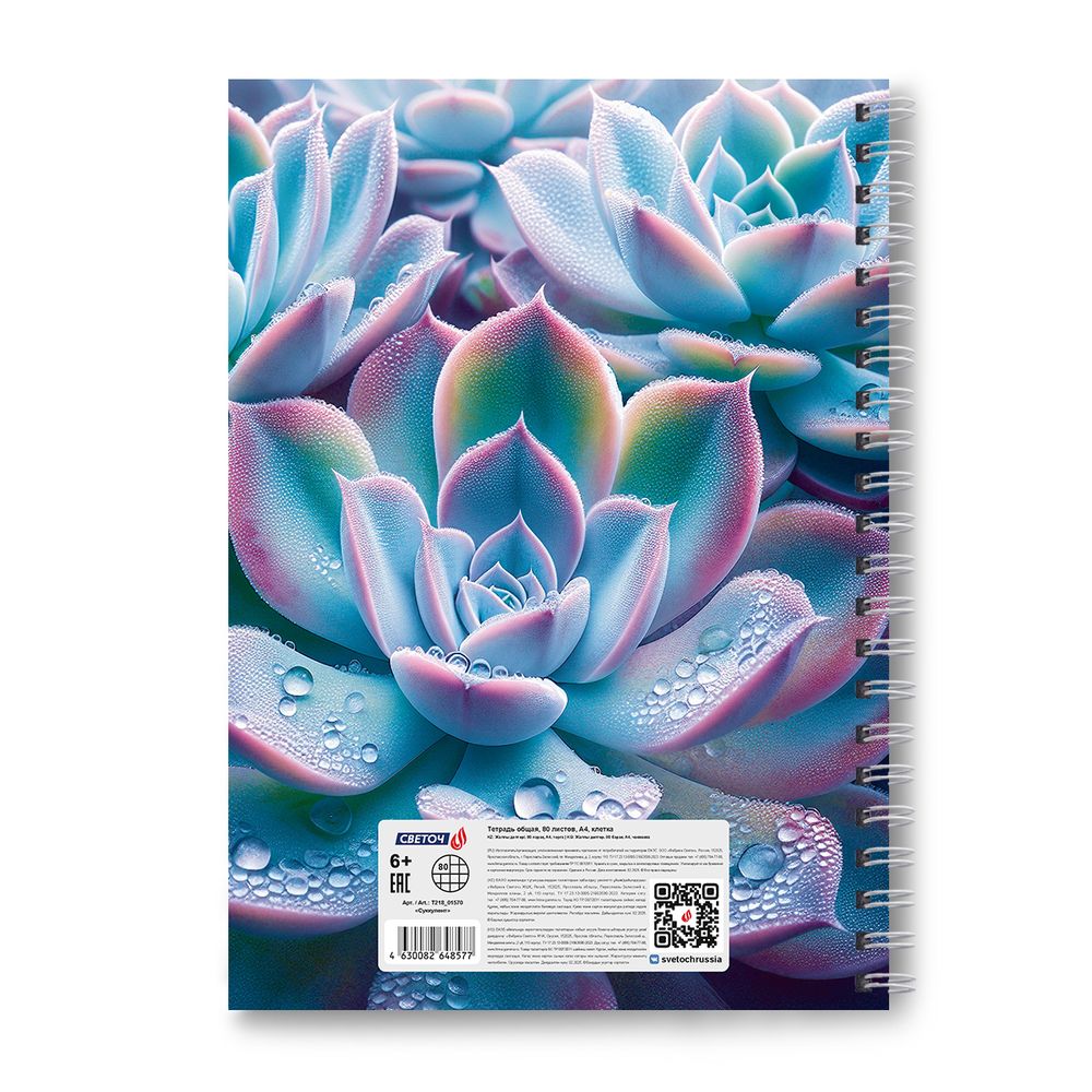 Тетрадь общая с твердой обложкой, матовая ламинация + выборочный лак A4 80 л. на гребне 65 г/м², белизна 100% 2 шт клетка, 01570 Суккулент, Светоч Т218