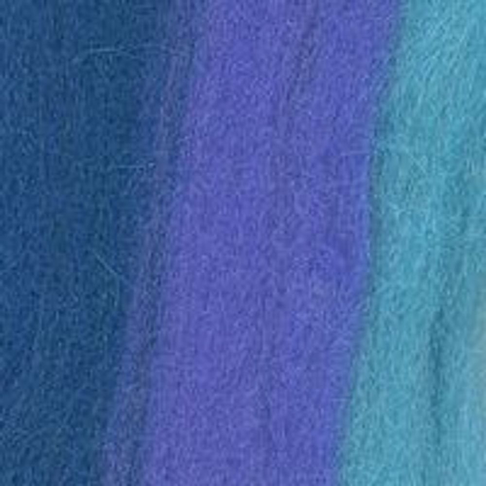 Шерсть для валяния Троицкая п/тонкая 1х100 г (до 29 мкр), мультиколор 6078