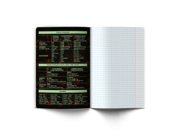 Тетрадь со справочным материалом Эволюция, глянцевая ламинация, A5+ 48 л. на скобе 65 г/м², белизна 100%, 10 шт, клетка, 00876 Английский язык, Светоч 48Т5