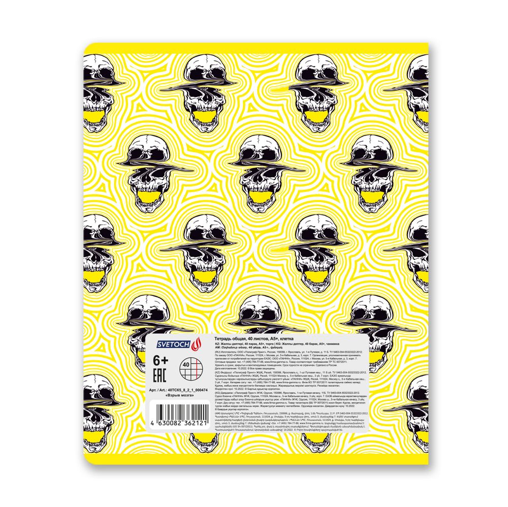 Тетрадь ученическая общая, твин лак, A5+ 40 л. на скобе 65 г/м², белизна 100%, 10 шт, клетка в термоусадочной пленке, 000474 Взрыв мозга, Светоч 40ТСК5_8_2_1